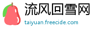流风回雪网